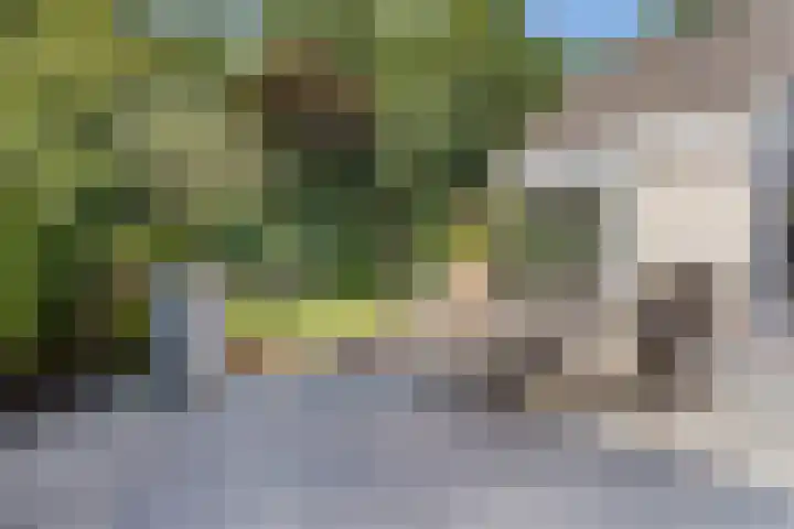 Haagwinde 20 Vught thumbnail 34