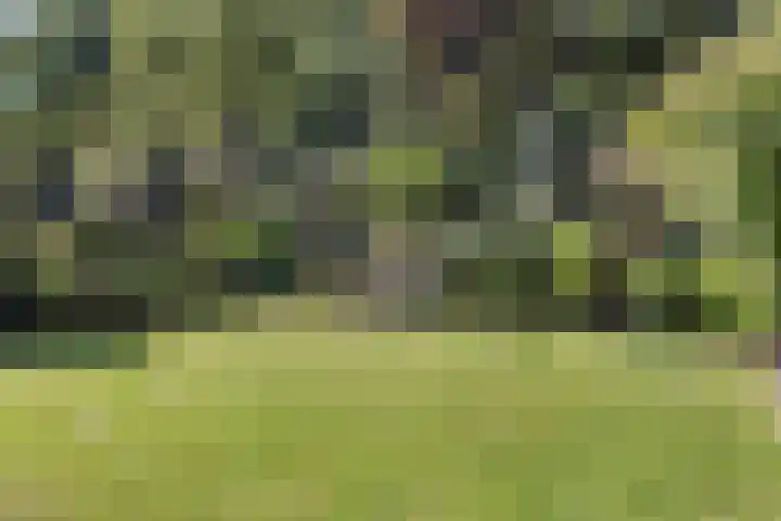 Haagwinde 20 Vught thumbnail 36