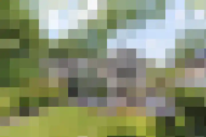 Haagwinde 20 Vught thumbnail 37