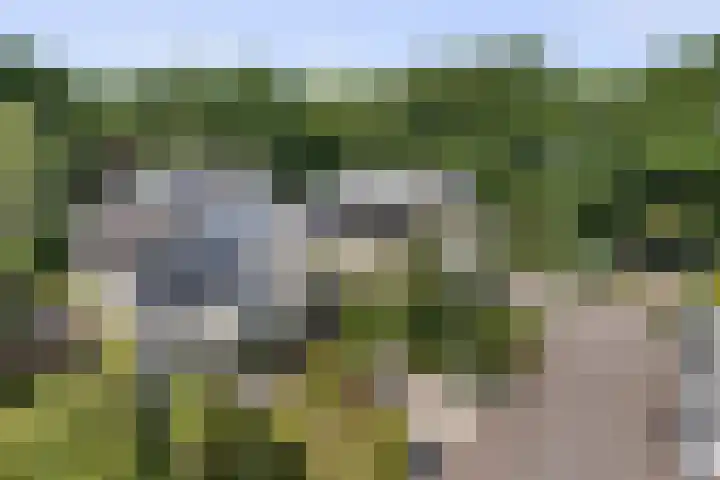 Haagwinde 20 Vught thumbnail 43