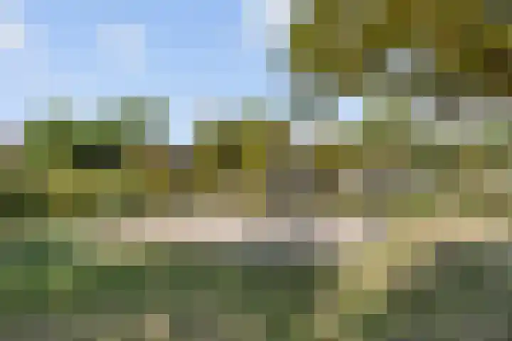 Haagwinde 20 Vught thumbnail 46