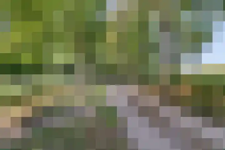 Haagwinde 20 Vught thumbnail 47