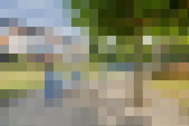 Haagwinde 29 Apeldoorn thumbnail 28