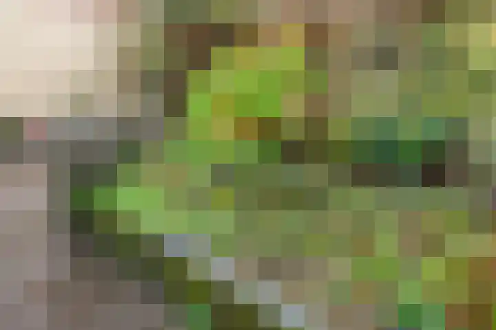 Haagwinde 34 Eemnes thumbnail 38
