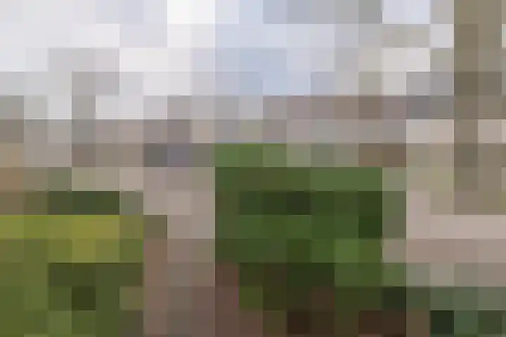 Haagwinde 40 Eemnes thumbnail 41