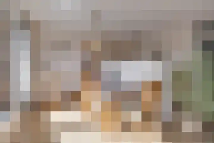 Haagwinde 49 Apeldoorn thumbnail 7