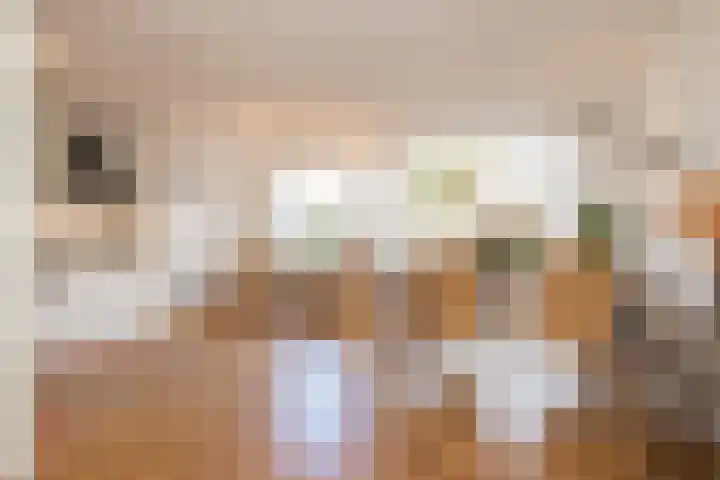 Haagwinde 5 Noordwijk thumbnail 12