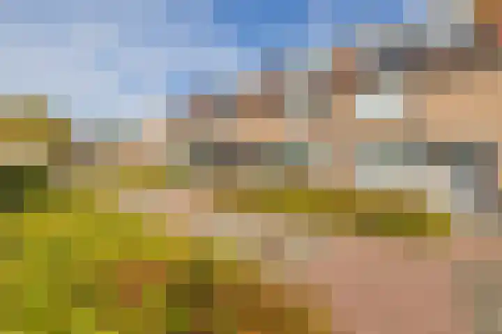 Haagwinde 5 Noordwijk thumbnail 51