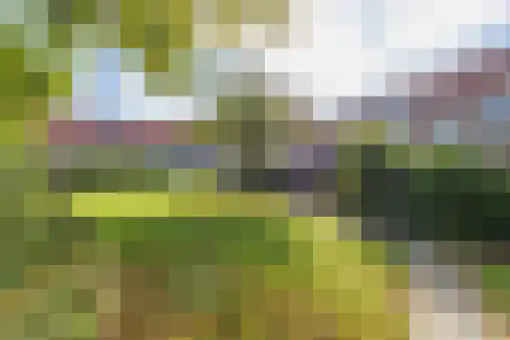 Haagwinde 5 Noordwijk thumbnail 52