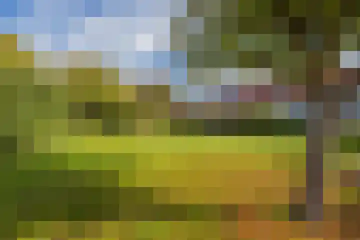 Haagwinde 5 Noordwijk thumbnail 53