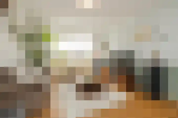 Haagwinde 5 Noordwijk thumbnail 8