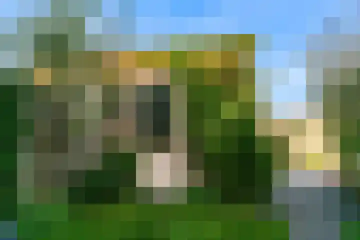 Haagwinde 8 Zevenhoven thumbnail 26