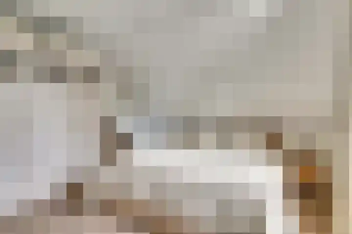 Haagwinde 9 Oudkarspel thumbnail 15