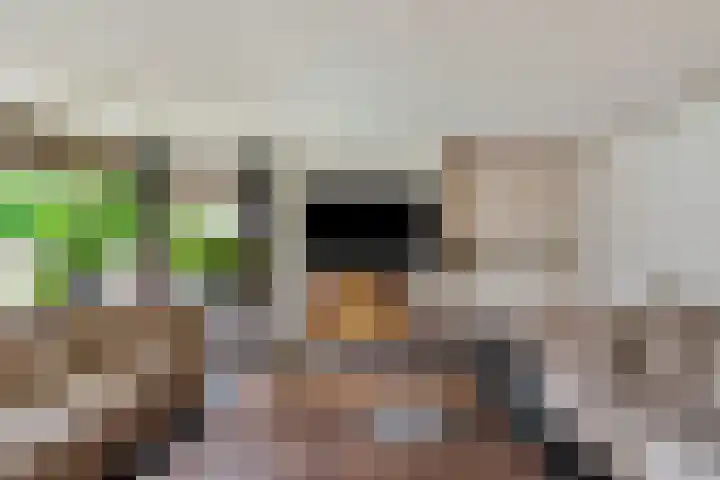 Haakakker 7 Mierlo thumbnail 14