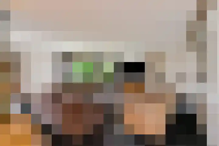 Haakakker 7 Mierlo thumbnail 15