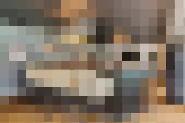Haakakker 7 Mierlo thumbnail 16