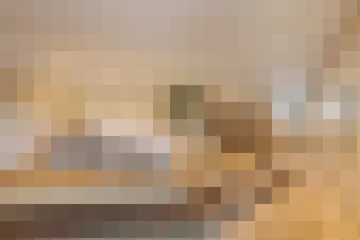 Haakakker 7 Mierlo thumbnail 18
