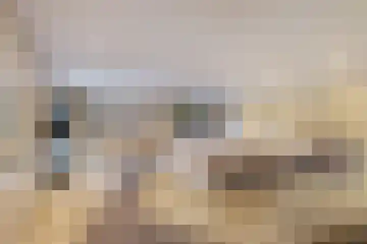 Haakakker 7 Mierlo thumbnail 19