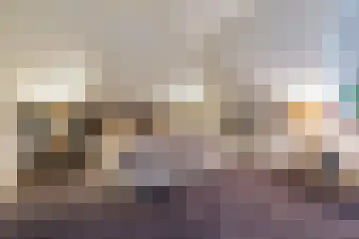 Haakakker 7 Mierlo thumbnail 21