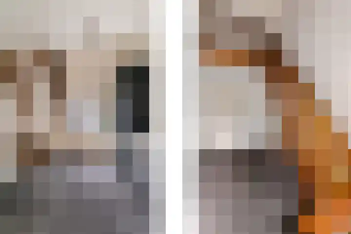 Haakakker 7 Mierlo thumbnail 24