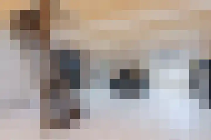 Haakakker 7 Mierlo thumbnail 28