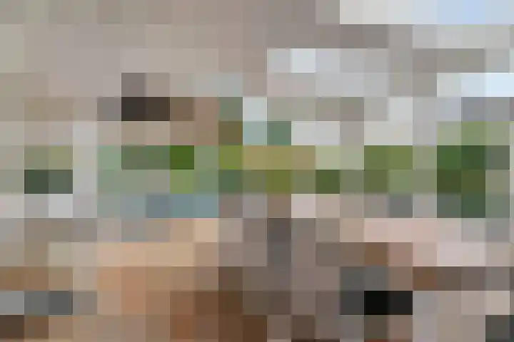 Haakakker 7 Mierlo thumbnail 32