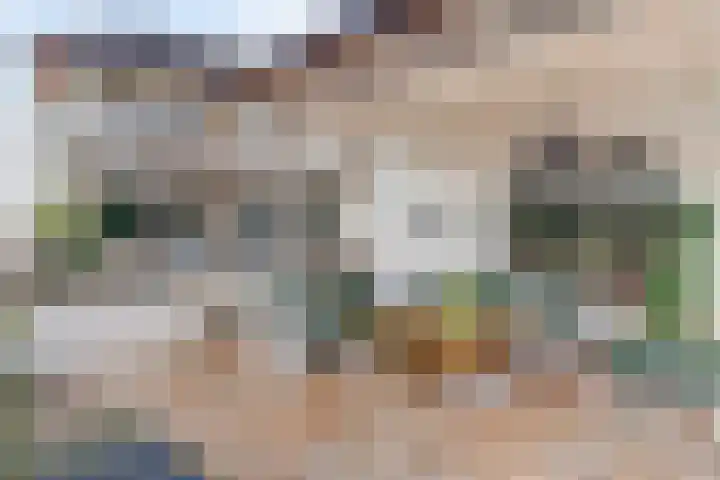 Haakakker 7 Mierlo thumbnail 34