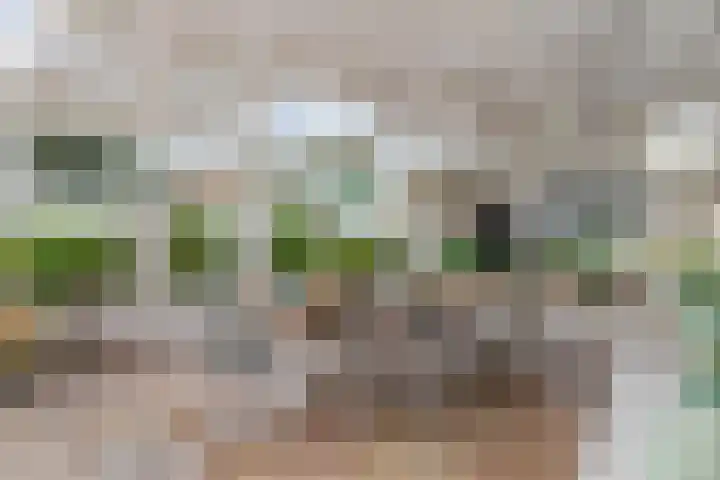 Haakakker 7 Mierlo thumbnail 36