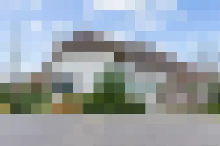 Haakakker 7 Mierlo thumbnail 42