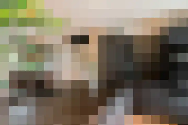 Haakakker 7 Mierlo thumbnail 9