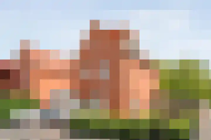 Haakmos 2 dans Zwolle