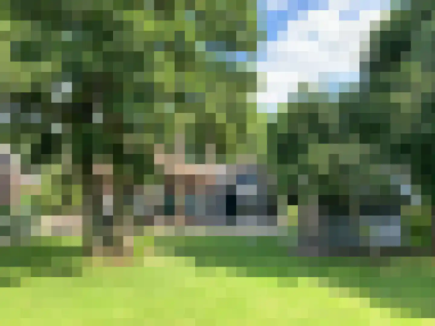 Haantje 11 in Rijswijk
