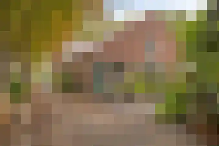 Haanwijk 7 Harmelen thumbnail 27