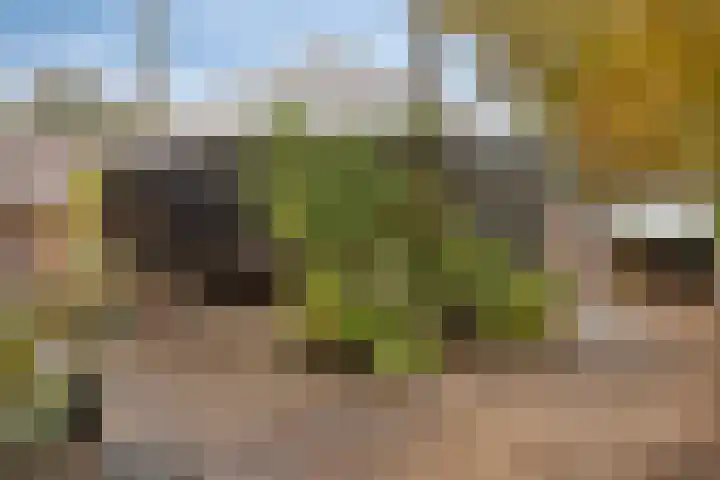 Haanwijk 7 Harmelen thumbnail 43