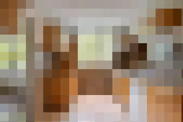 Haanwijk 7 Harmelen thumbnail 5