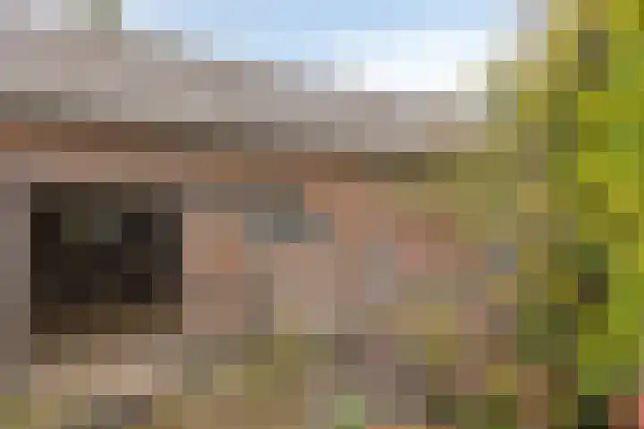 Haanwijk 7 Harmelen thumbnail 52