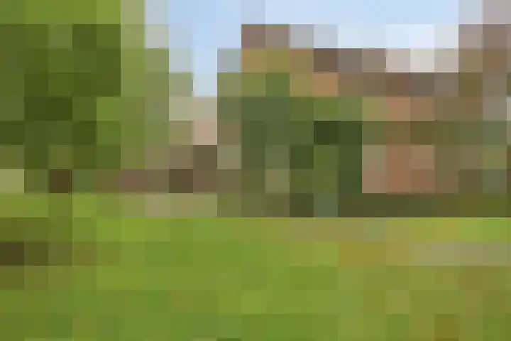 Haanwijk 7 Harmelen thumbnail 53