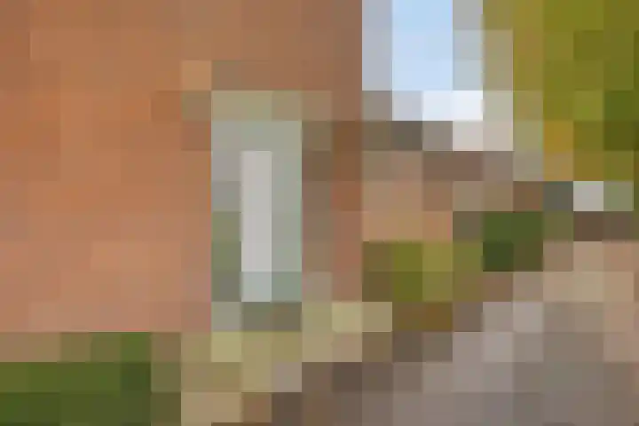 Haanwijk 7 Harmelen thumbnail 54