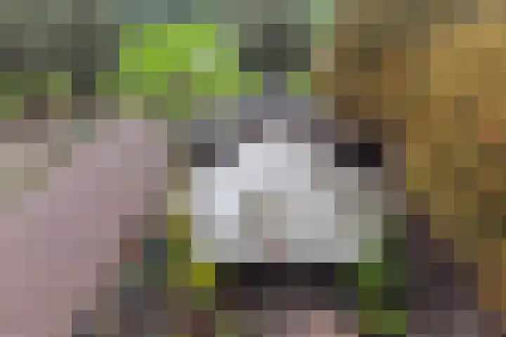 Haanwijk 7 Harmelen thumbnail 58