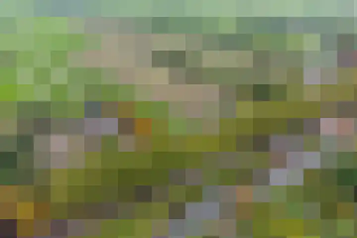 Haanwijk 7 Harmelen thumbnail 59