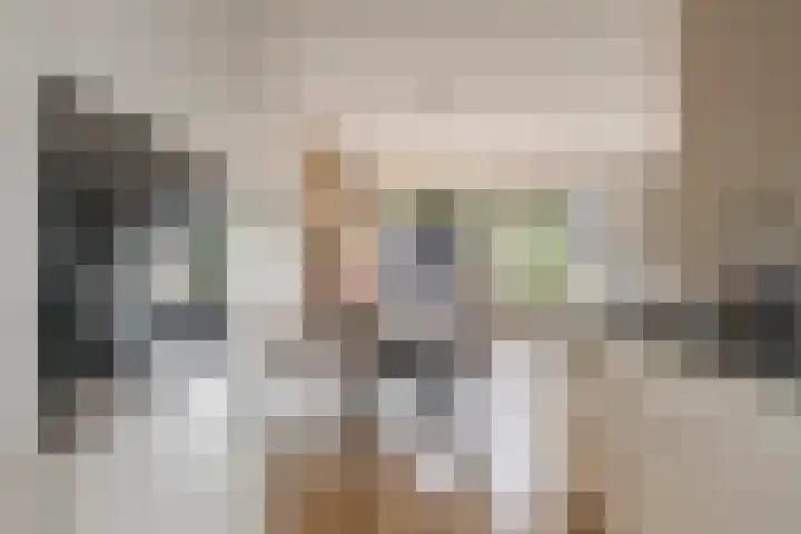 Haarakker 25 Rhenoy thumbnail 10
