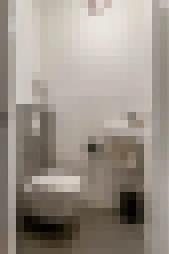 Haarakker 25 Rhenoy thumbnail 11
