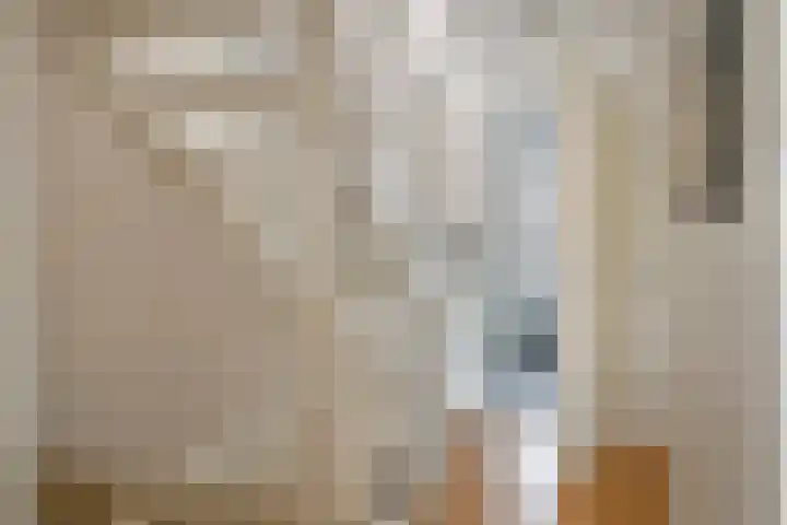 Haarakker 25 Rhenoy thumbnail 16