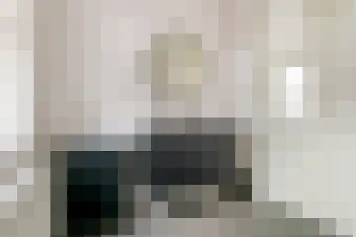Haarakker 25 Rhenoy thumbnail 20