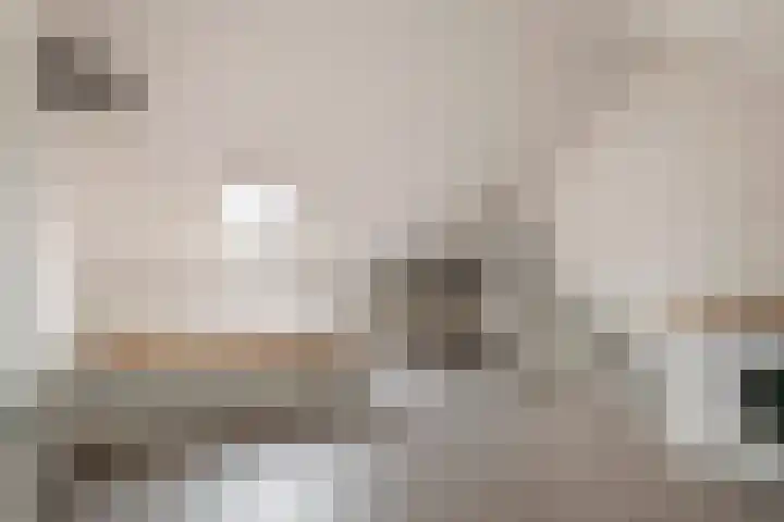 Haarakker 25 Rhenoy thumbnail 21
