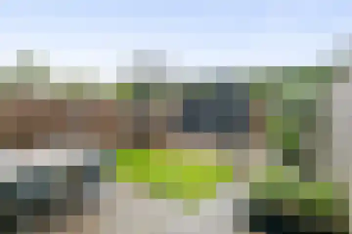 Haarakker 25 Rhenoy thumbnail 22