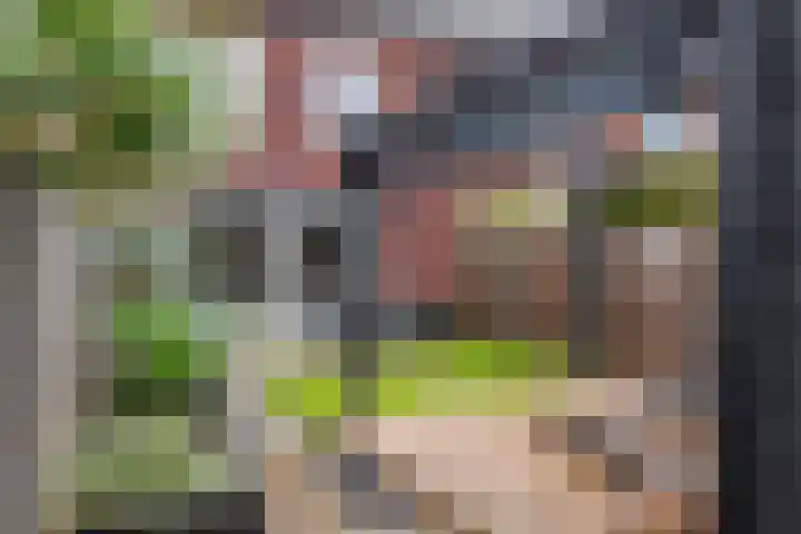 Haarakker 25 Rhenoy thumbnail 23