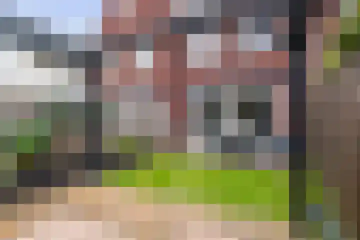 Haarakker 25 Rhenoy thumbnail 24