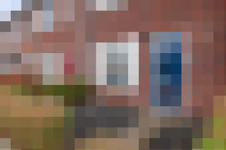 Haarakker 25 Rhenoy thumbnail 25