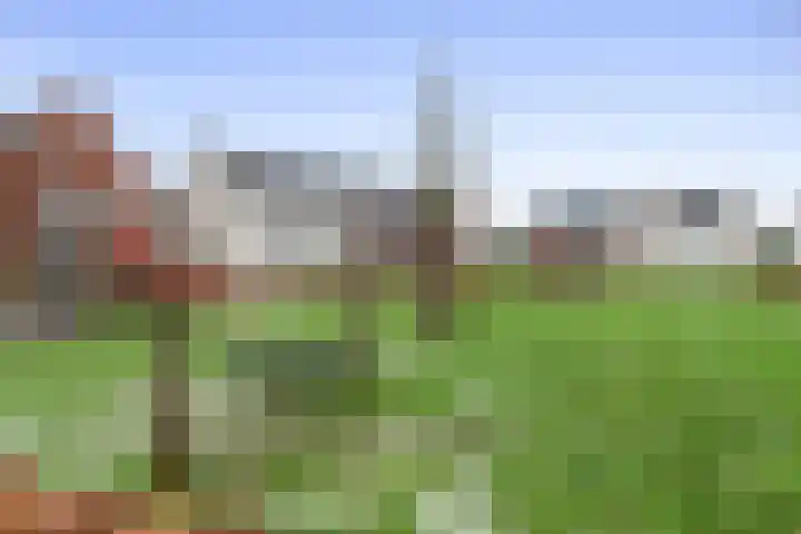 Haarakker 25 Rhenoy thumbnail 26